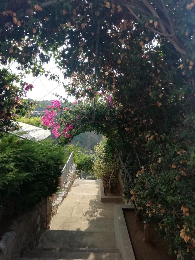 Villa Del Conte Drapia Exteriér fotografie