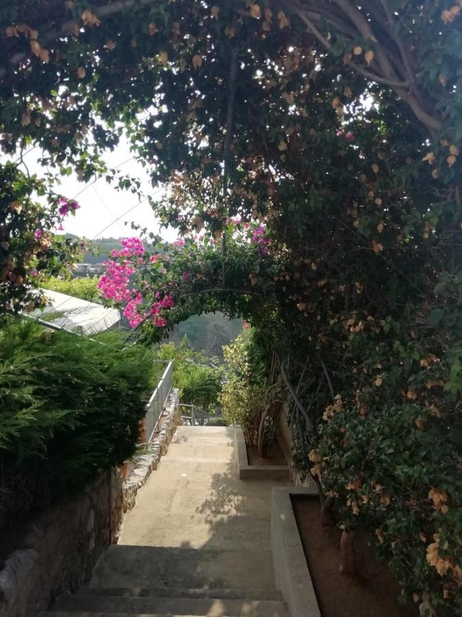 Villa Del Conte Tropea Exteriér fotografie